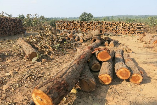 Deforestation in Aravalli range